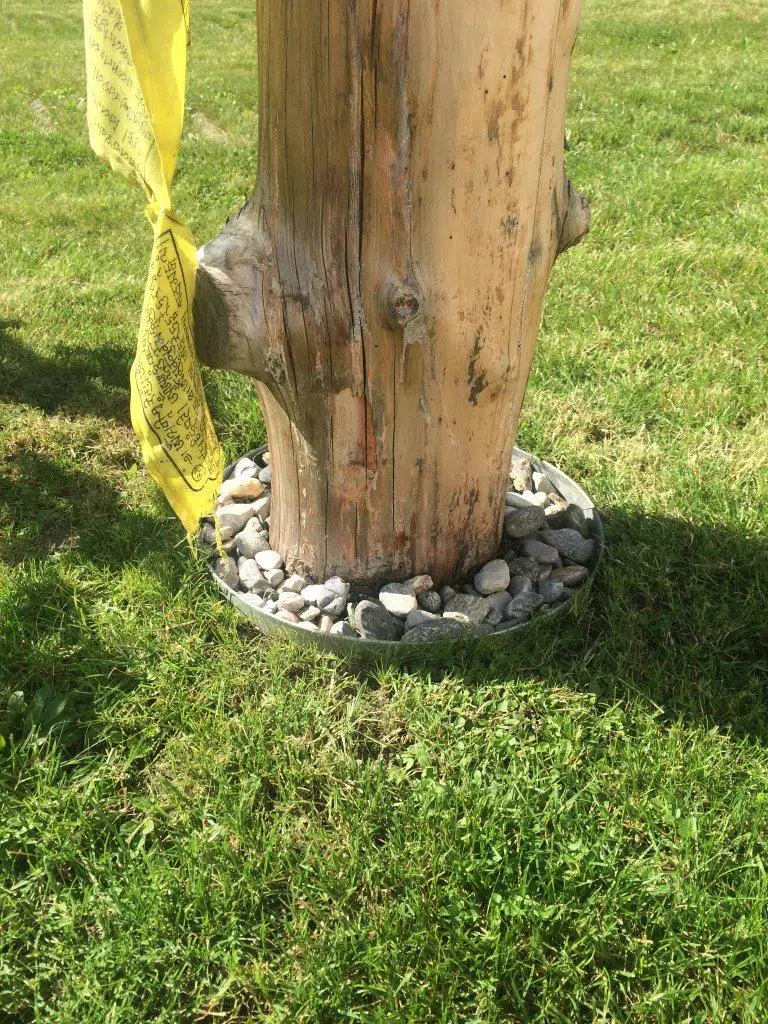 Baumring mit Baumstamm