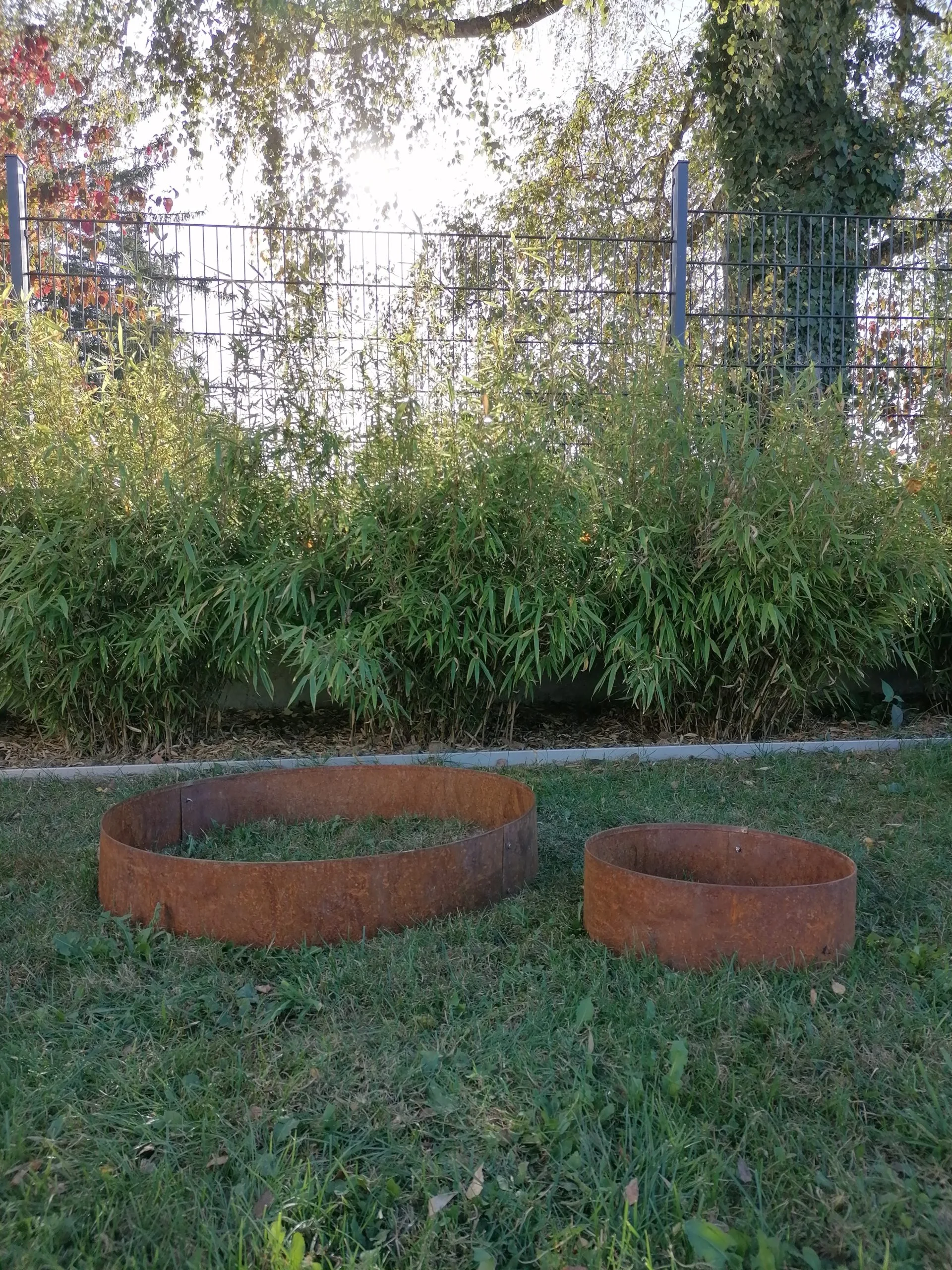 Baumring aus Cortenstahl mit 37 cm und 75 cm Durchmesser